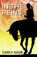 Cowboy Romance Novel In The Reins