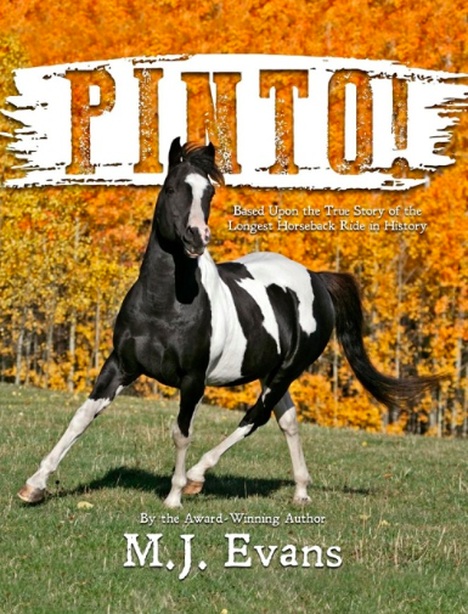 Pinto by M.J. Evans