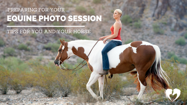 Equestrian Photography Tips