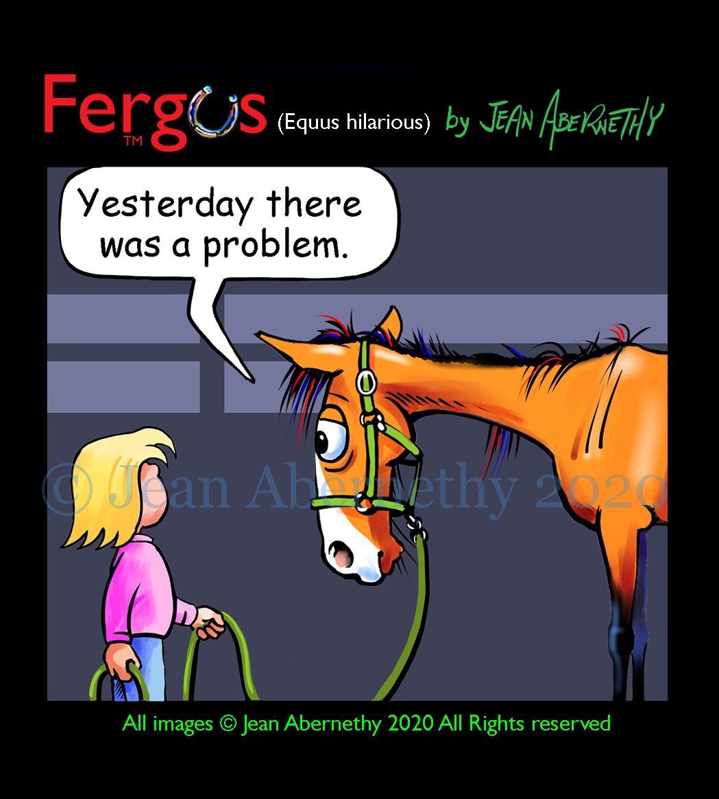 Fergus the Horse by Jean Abernethy