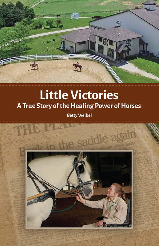Little Victories by Betty Weibel
