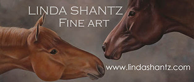 Linda Shantz Equestrian Art