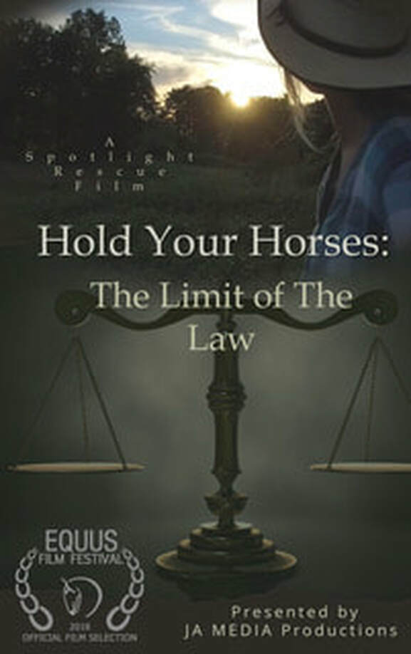 Equine Documentary Hold Your Horses: The Limit Of The Law”