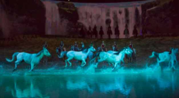 The horses of Odysseo