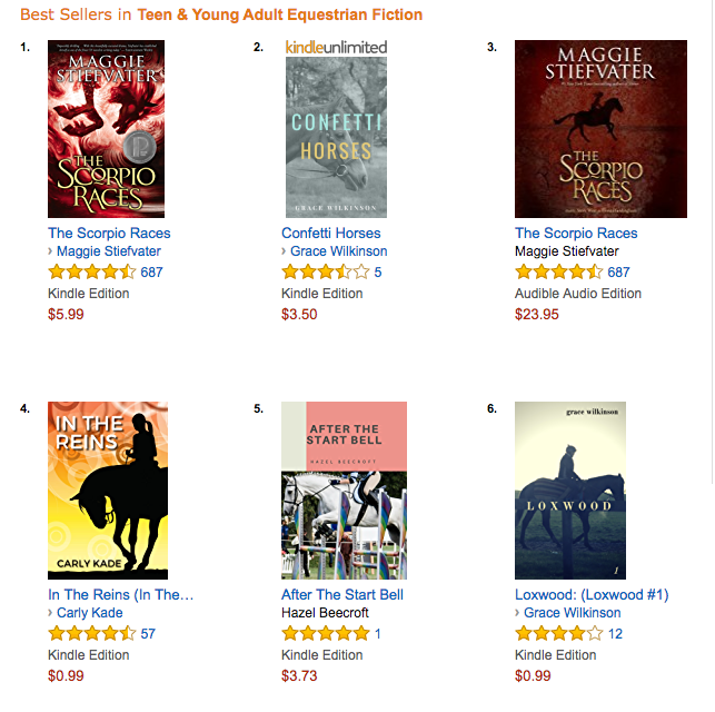 In the Reins is an Amazon Equestrian Fiction Best Seller