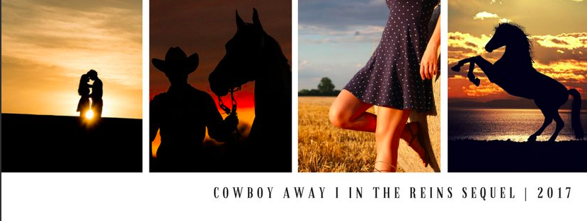 Cowboy Away is the second book in the In the Reins horse book series