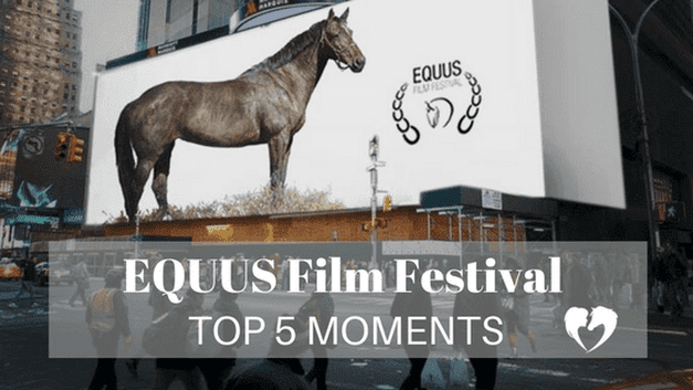 Author Carly Kade's Top 5 Moments at the EQUUS Film Festival