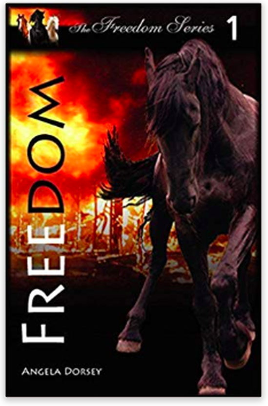 Freedom - A Horse Book by Angela Dorsey
