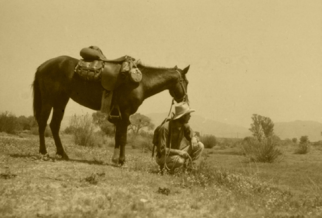Author John Egenes and his horse Gizmo