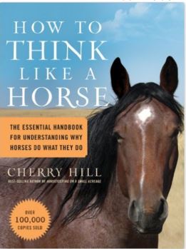 horse training books