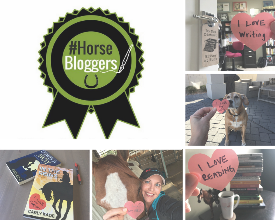 #Horsebloggers #5photos1day Challenge