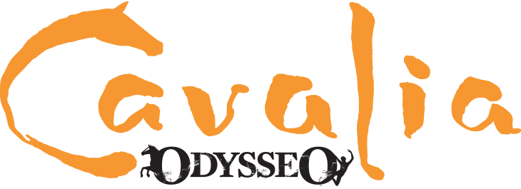 Cavalia Odysseo