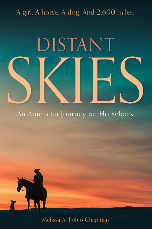 Distant Skies by Melissa Priblo Chapman