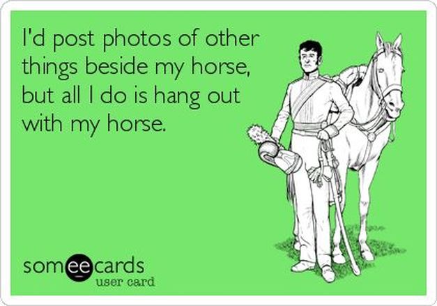 Horse Humor Pinterest Board by Carly Kade Creative