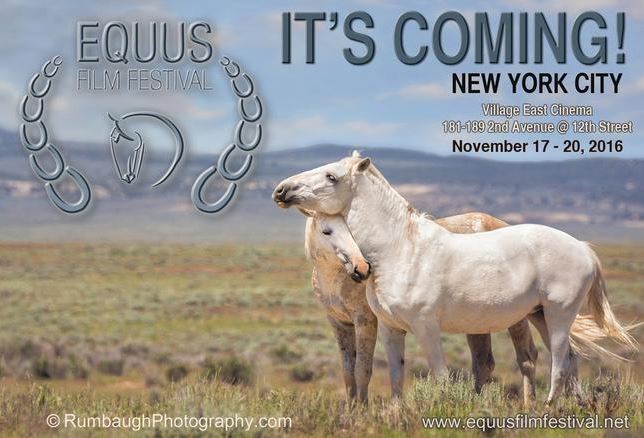 In The Reins is an EQUUS Film Festival Literary Selection