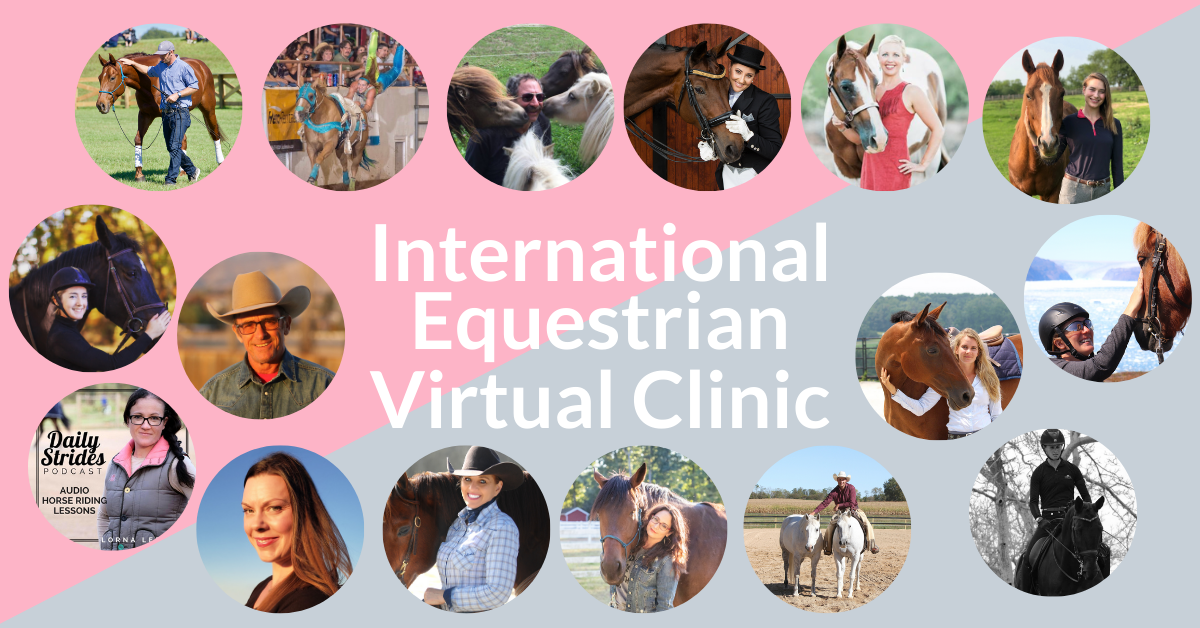 International Equestrian Virtual Clinic