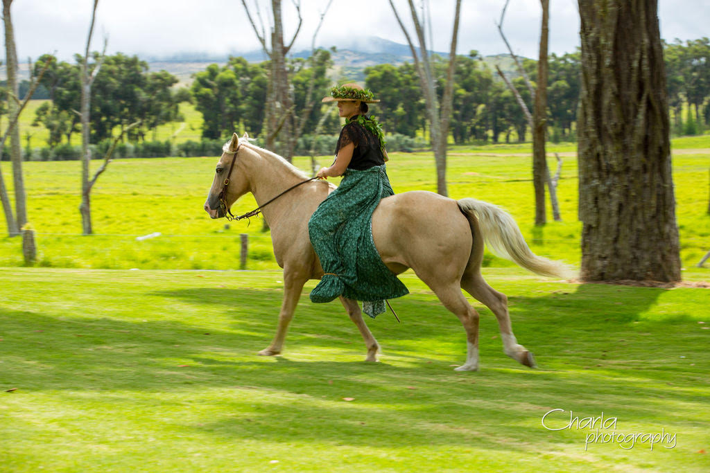 Hawaiian Horsewoman Riding in a Pa‘u