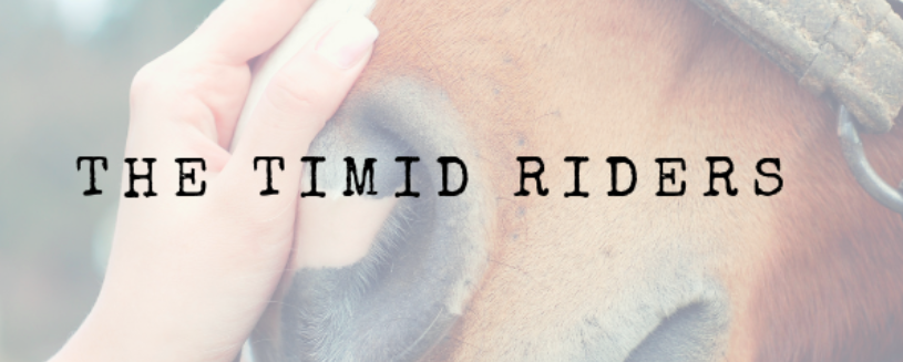 Heather Wallace's Facebook Group The Timid Riders