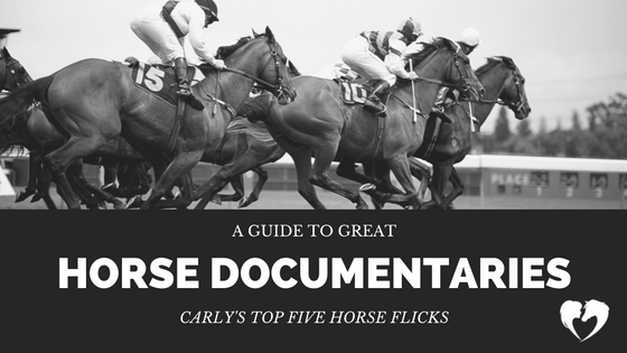A Guide to Great Horse Documentaries