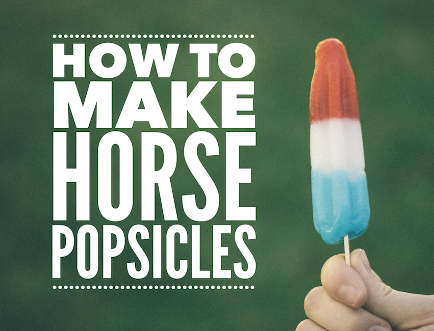 How to Make Horse Popsicles
