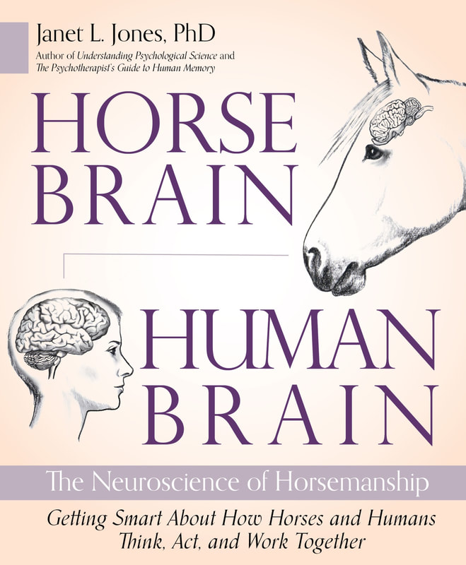 Horse Brain Human Brain Janet Jones