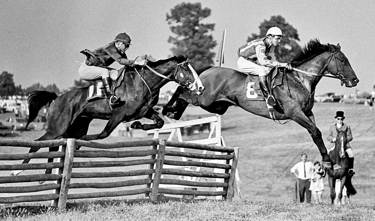 Patrick Smithwick Steeplechasing Thoroughbred horses