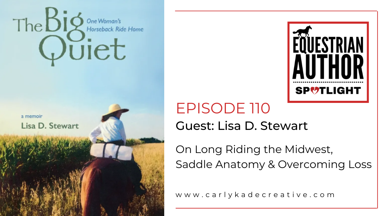 Lisa D. Stewart Author of The Big Quiet One Woman's Horseback Ride Home