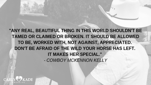 Cowboy Quotes from the In the Reins Equestrian Romance Series by Carly Kade
