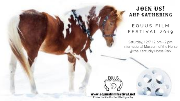 American Horse Publications Meet-Up EQUUS Film Festival 2019