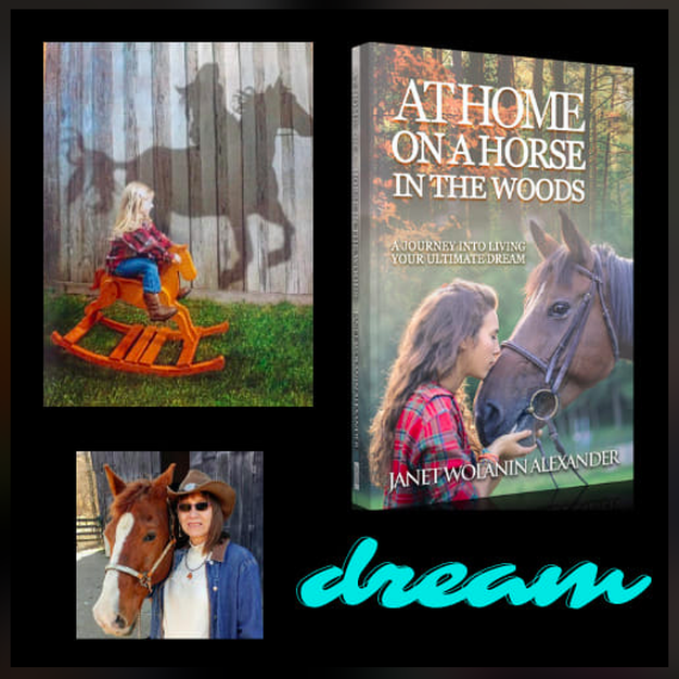 At Home on a Horse in the Woods Book by Janet Wolanin Alexander
