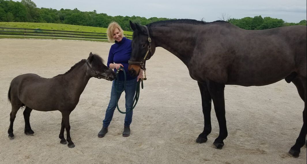 Author Betty Weibel and her Equine Friends