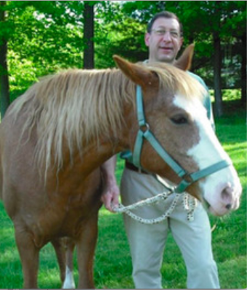 Dave Basconi Author of Nonsense to Horse-Sense