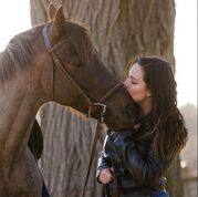 Equine Author Heather Wallace, The Timid Rider