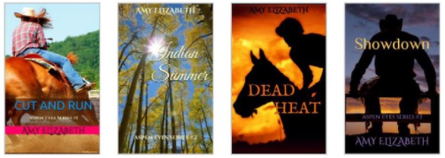 Horse Book Series for Adults by Equestrian Fiction Author Amy Elizabeth