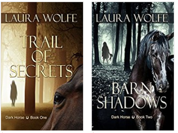 Horse Book Series by Equestrian Fiction Author Laura Wolfe