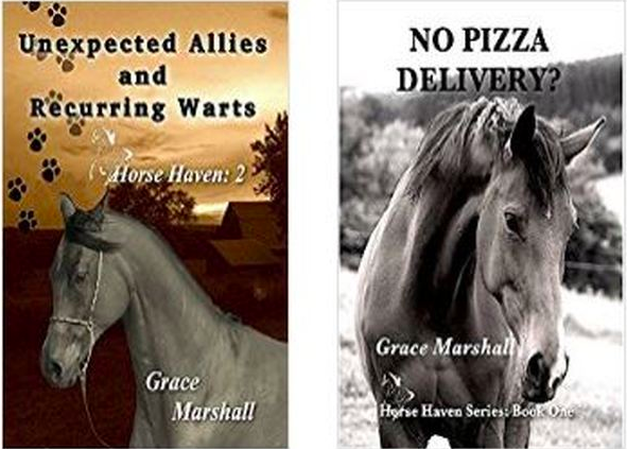 The Horse Haven Book Series by Grace Marshall