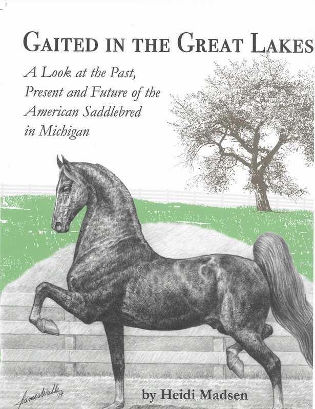 Heidi Madsen Gaited in the Great Lakes Book