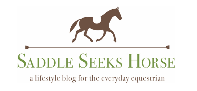 Saddle Seeks Horse Equestrian Lifestyle Blog by Susan Friedland