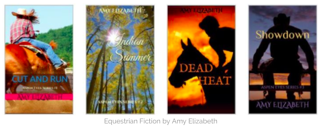 Horse Book Series by Amy Elizabeth