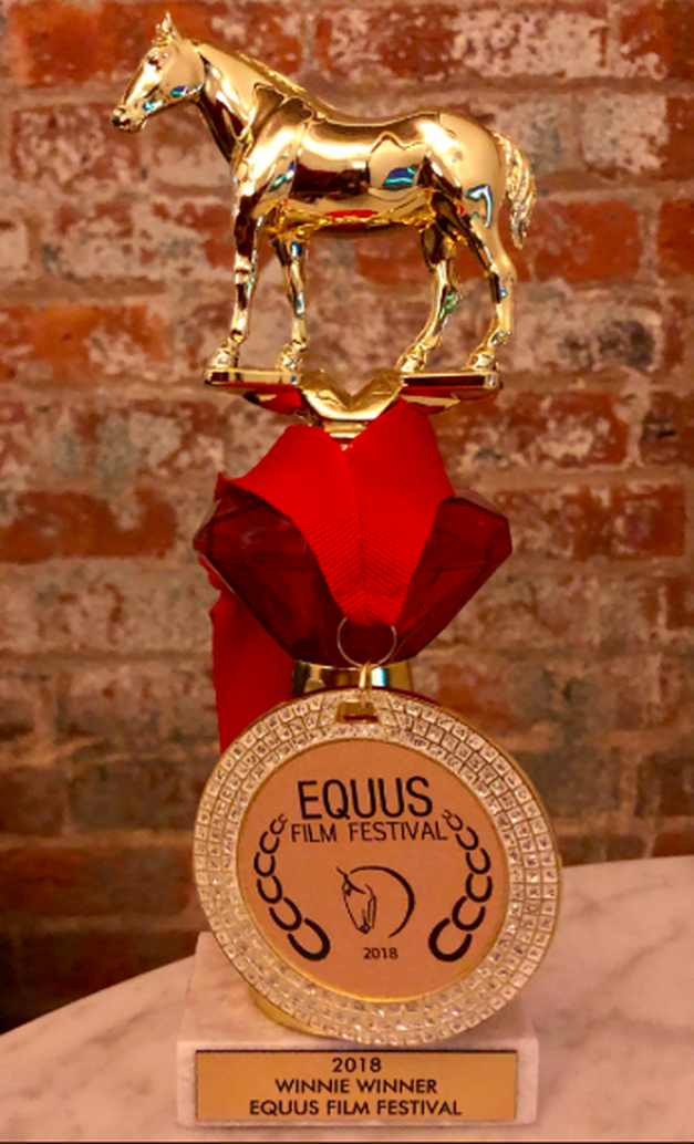 Cowboy Away by Carly Kade wins Best Equine Romance Award at the 2018 EQUUS Film Festival