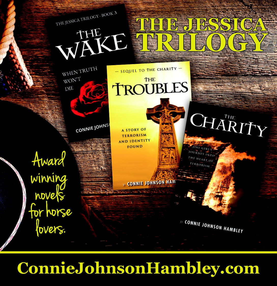 The Wake, The Troubles, and The Charity Books by Connie Johnson Hambley